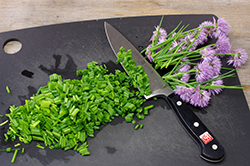Rough Chopping Chives